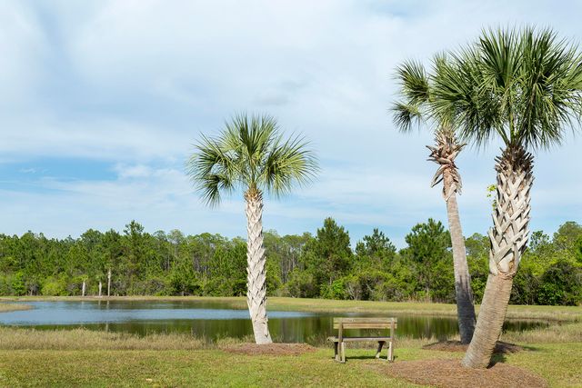 Lot 59 N Sunset North, Freeport, FL 32439