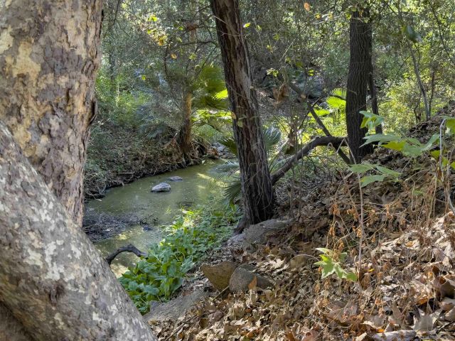 11414 Betsworth, Valley Center, CA 92082