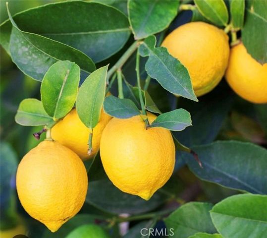 4944 Don Pio Drive, Woodland Hills (los Angeles), CA 91364