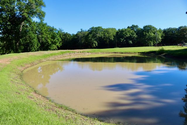 387 County Road 2101, Ivanhoe, TX 75447