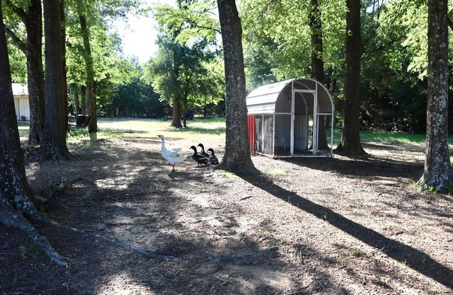 387 County Road 2101, Ivanhoe, TX 75447