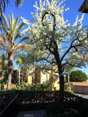 30902 Clubhouse Drive 3G, Laguna Niguel, CA 92677