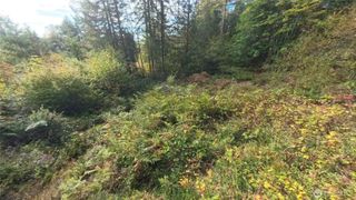 130 LOT: B, PTN BLK: 15, Hoodsport, WA 98548