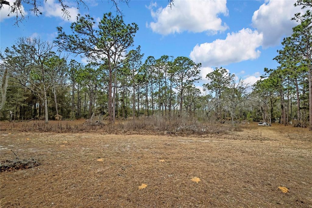 Image 40 of property listing at 12672 S OAKVIEW AVENUE, Floral City, FL 34436