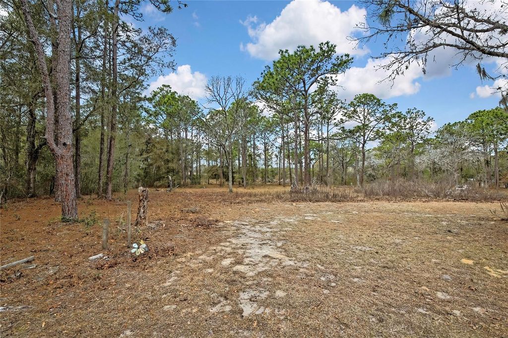 Image 43 of property listing at 12672 S OAKVIEW AVENUE, Floral City, FL 34436