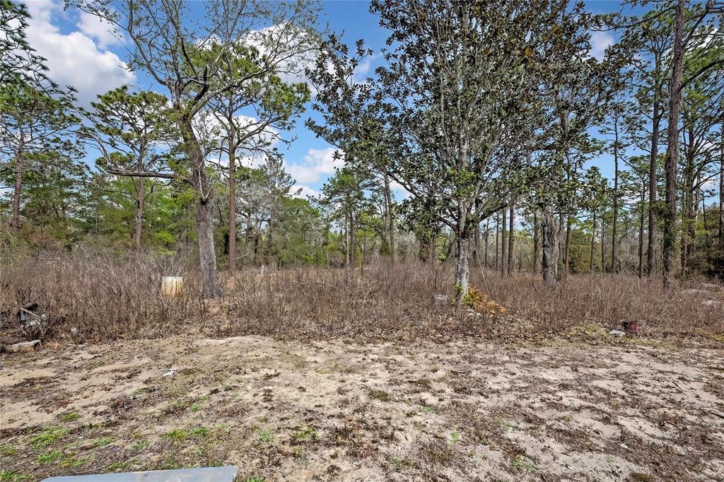 Image 46 of property listing at 12672 S OAKVIEW AVENUE, Floral City, FL 34436