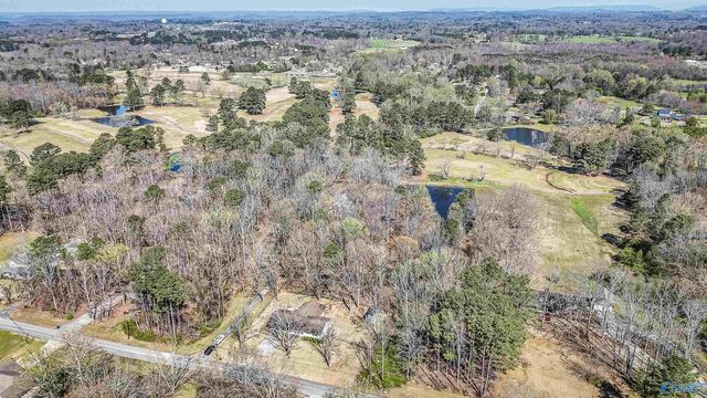 445 Golfview Drive NE, Arab, AL 35016