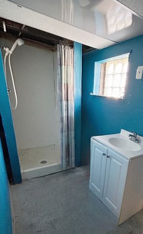 11833 S Perry Avenue, Chicago, IL 60628