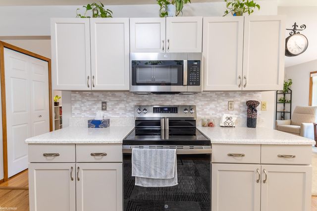 15341 Pebble Pointe Drive, Clinton Twp, MI 48038