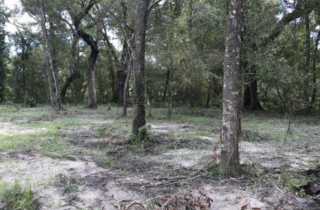 TBD1 SW 129TH BOULEVARD, Webster, FL 33597
