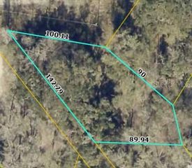 TBD1 SW 129TH BOULEVARD, Webster, FL 33597