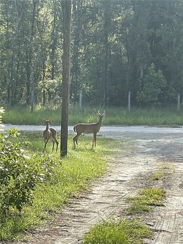 3353 NE 71ST AVENUE, High Springs, FL 32643