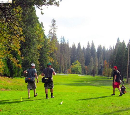 22596 Golf Club, Twain Harte, CA 95383