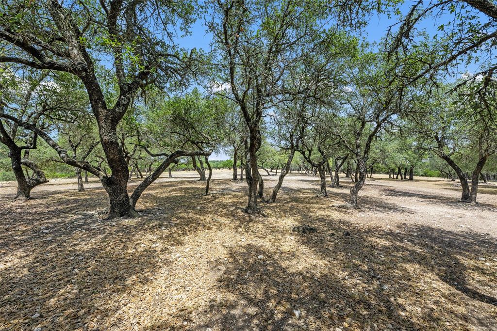 TBD South Oak Forest DR, Dripping Springs, TX 78620