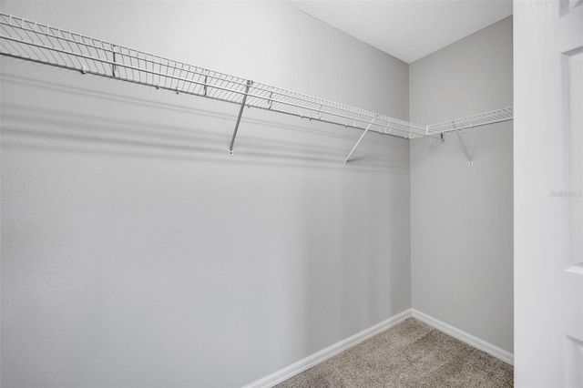 6705 HOLLY HEATH DRIVE, Riverview, FL 33578