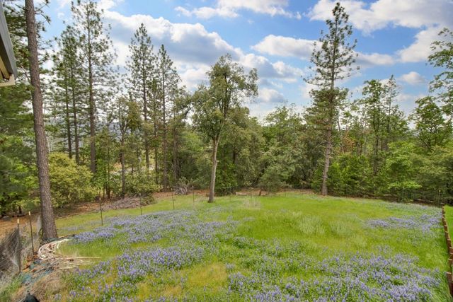 12615 Hilltop Ct, Pine Grove, CA 95665