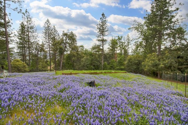 12615 Hilltop Ct, Pine Grove, CA 95665