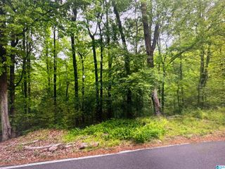 1753 BIG MOUNTAIN DRIVE, Birmingham, AL 35235