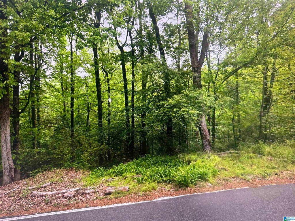 1753 BIG MOUNTAIN DRIVE, Birmingham, AL 35235