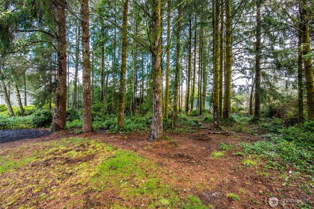 559 Weatherwax Loop NE, Ocean Shores, WA 98569