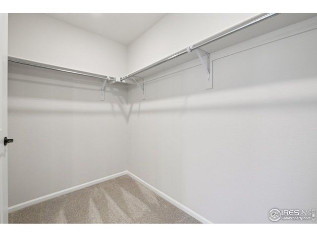 8777 Whiteclover St, Littleton, CO 80125