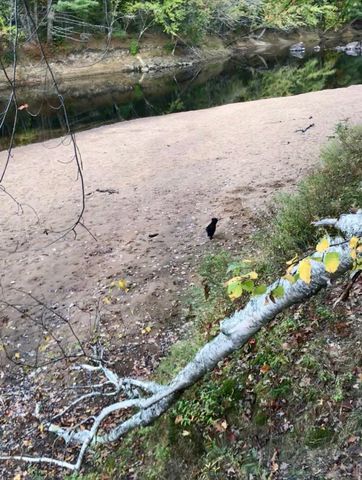 62 Sandy Circle, Brownfield, ME 04010