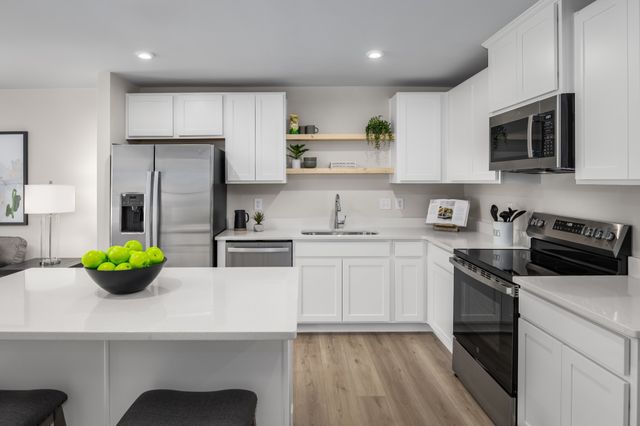 668 Big Bend Ct Unit 101, White House, TN 37188