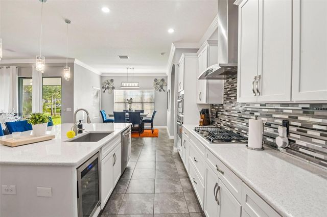 19529 HAYDEN LAKE COURT, Land O Lakes, FL 34638