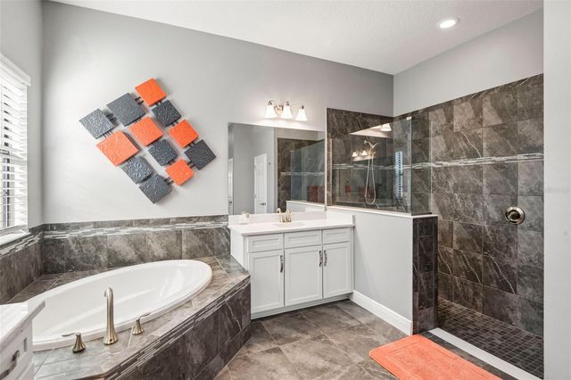 19529 HAYDEN LAKE COURT, Land O Lakes, FL 34638
