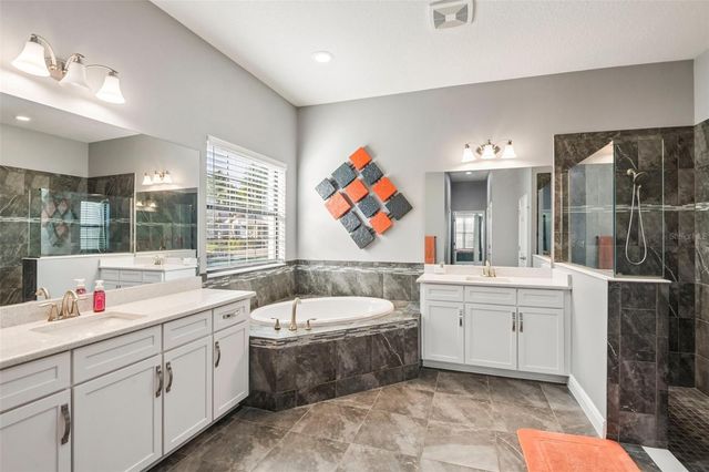 19529 HAYDEN LAKE COURT, Land O Lakes, FL 34638