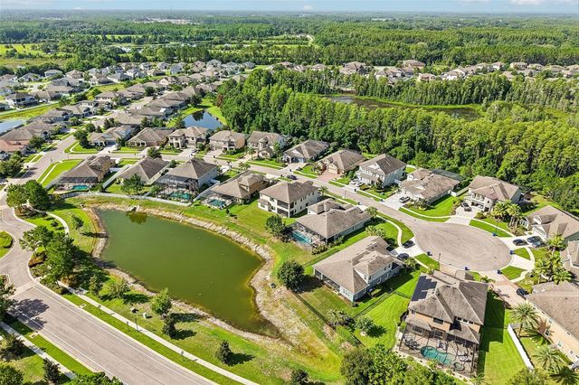 19529 HAYDEN LAKE COURT, Land O Lakes, FL 34638
