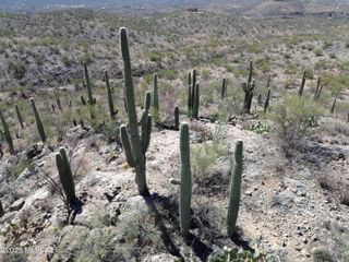 E Rincon Creek Ranch Road, Tucson, AZ 85747