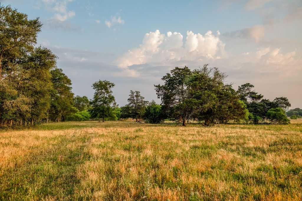 196 Willy RD, Bastrop, TX 78602