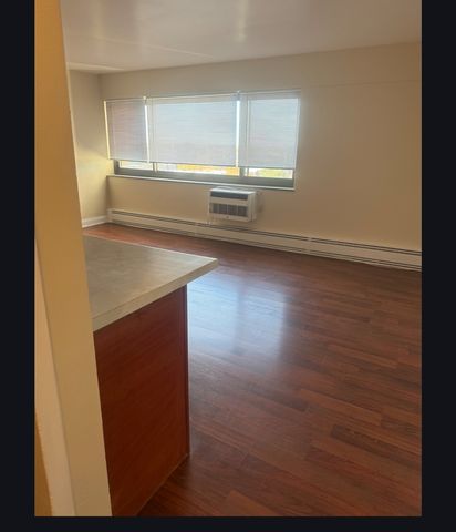 7337 S SOUTH SHORE Drive 1030, Chicago, IL 60649