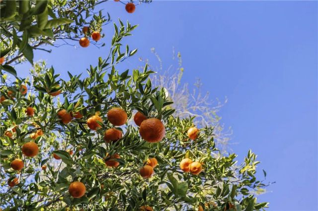 13573 Eldridge, Sylmar, CA 91342