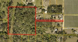 TURKEY TREE LANE, Dover, FL 33527