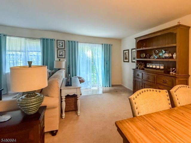 27 Birch Ter, Mount Arlington Boro, NJ 07856