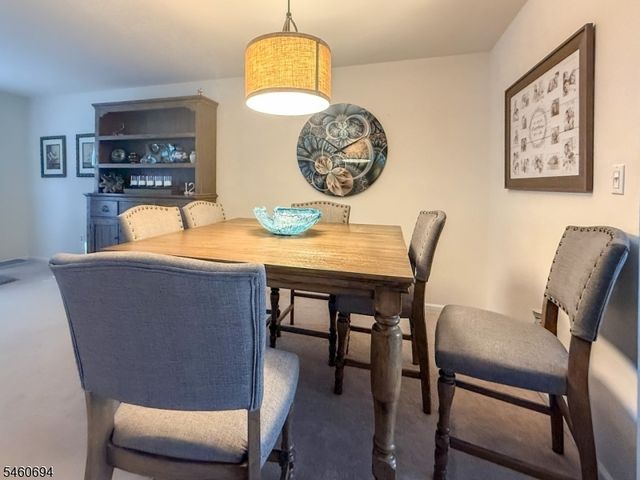27 Birch Ter, Mount Arlington Boro, NJ 07856