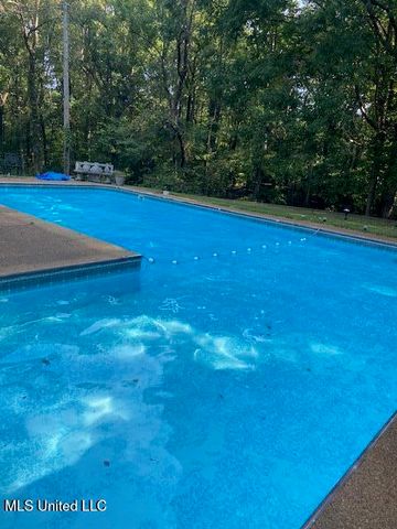 365 Cedar Hills Road, Holly Springs, MS 38635