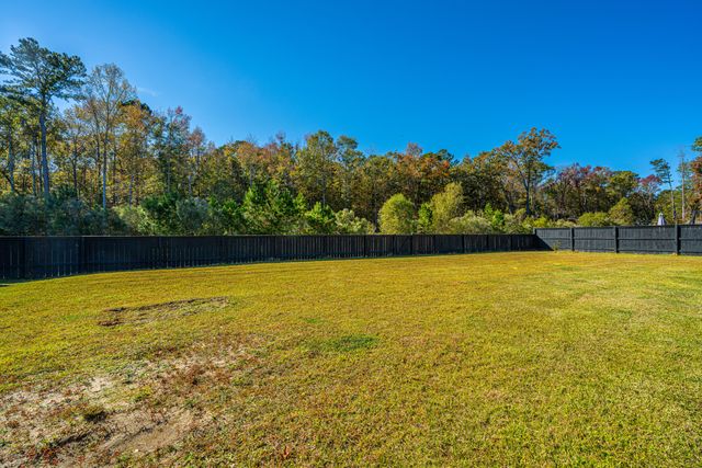 1465 Brockenfelt Drive, Charleston, SC 29414