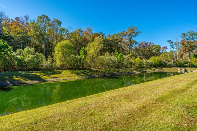 1465 Brockenfelt Drive, Charleston, SC 29414