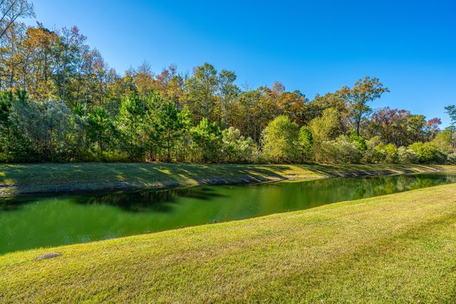 1465 Brockenfelt Drive, Charleston, SC 29414