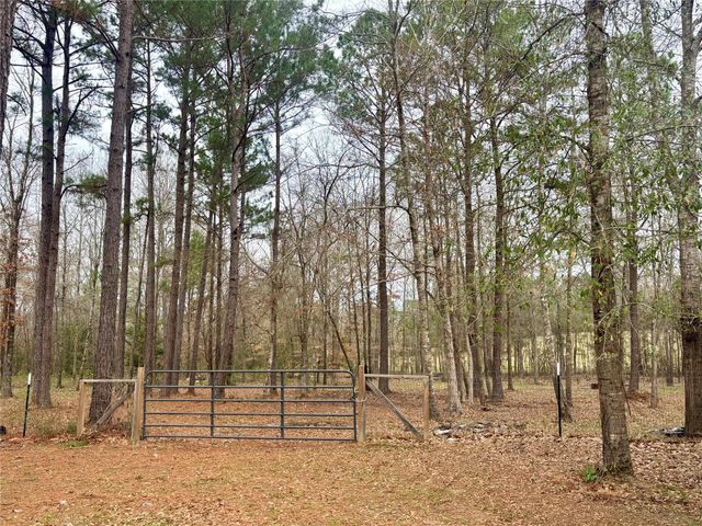 1580 Fm 1745 N, Colmesneil, TX 75938