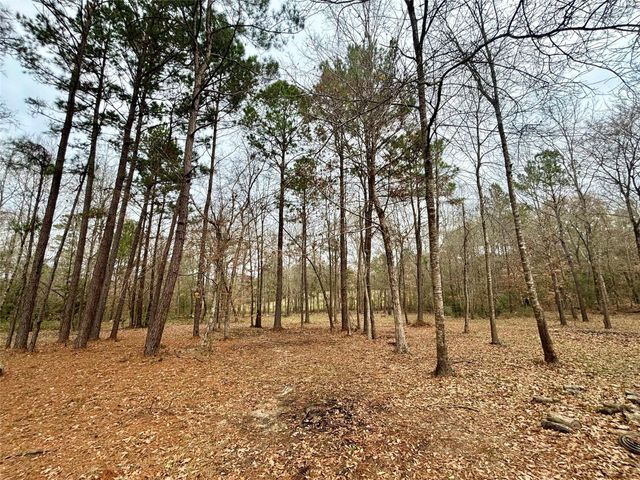 1580 Fm 1745 N, Colmesneil, TX 75938