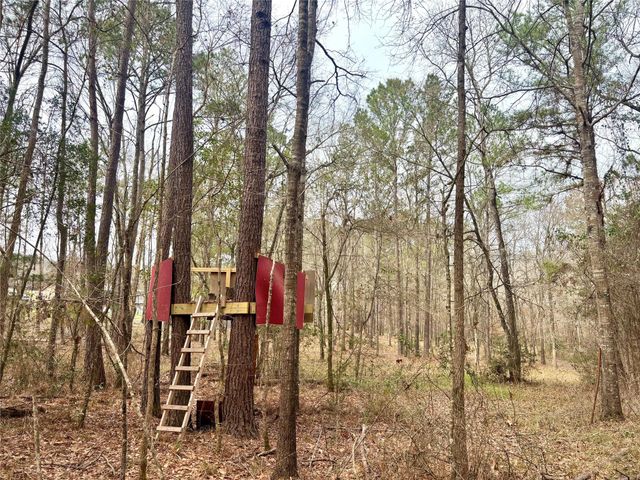 1580 Fm 1745 N, Colmesneil, TX 75938