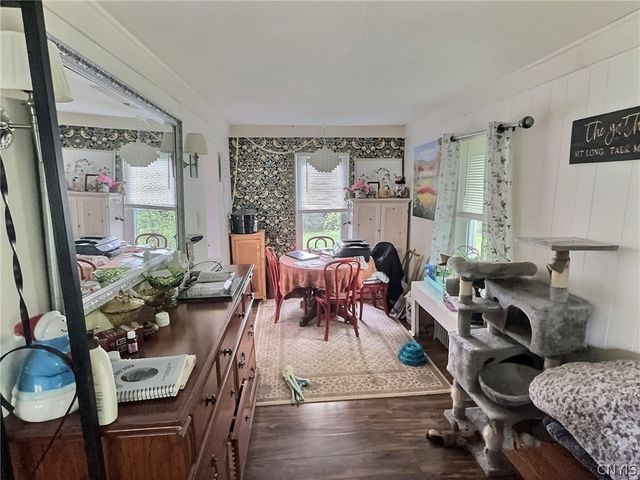 24 Lake Street, Dryden, NY 13053