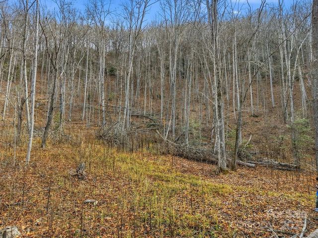 00 Barkers Creek Road, Whittier, NC 28789