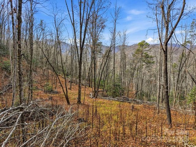 00 Barkers Creek Road, Whittier, NC 28789