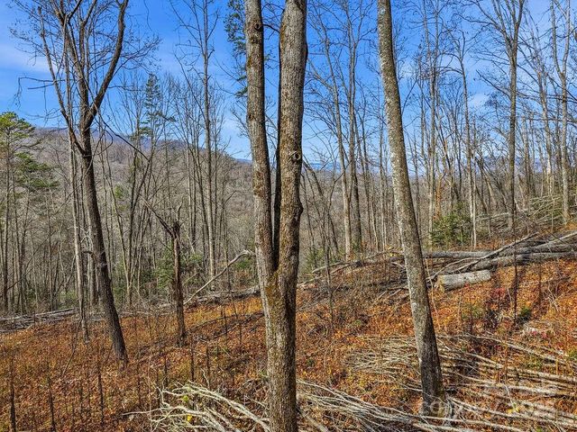 00 Barkers Creek Road, Whittier, NC 28789