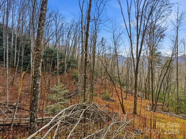 00 Barkers Creek Road, Whittier, NC 28789
